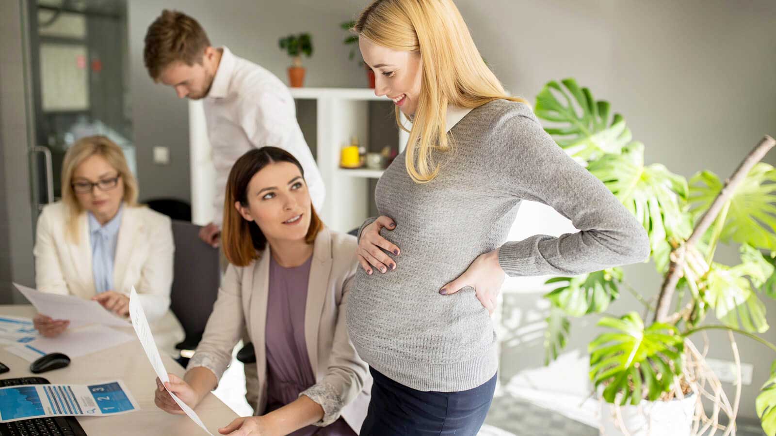 incinta con contratto a termine