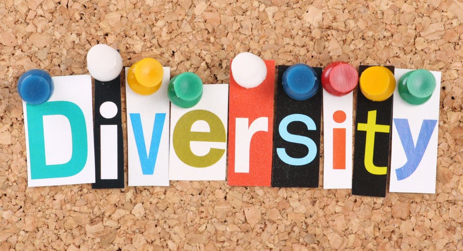 Istat-Unar: un’impresa su 5 attiva nel diversity management